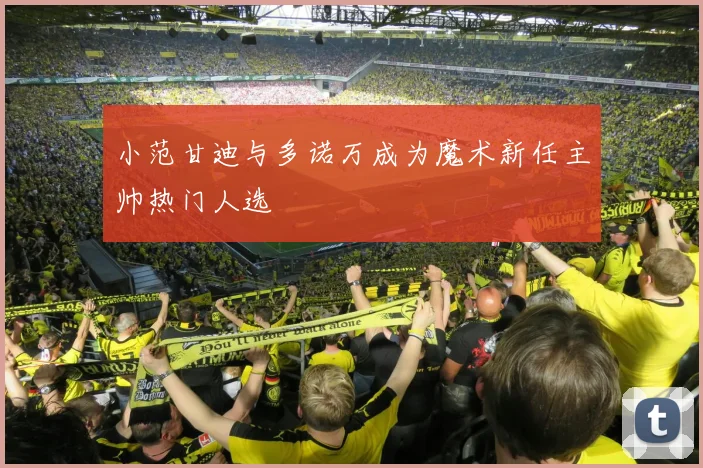 小范甘迪与多诺万成为魔术新任主帅热门人选