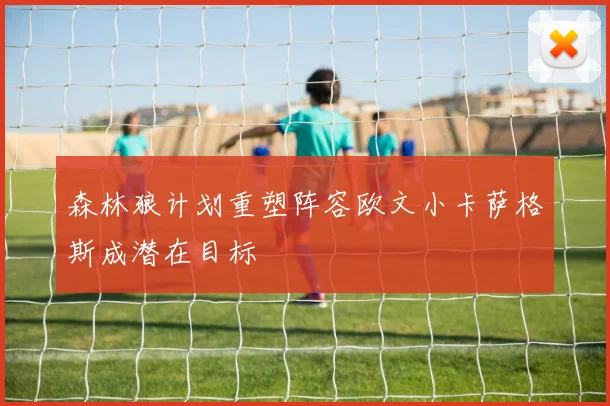 森林狼计划重塑阵容欧文小卡萨格斯成潜在目标