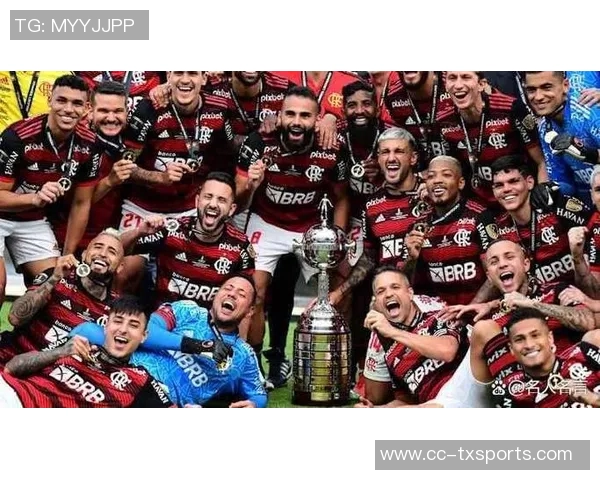 南美解放者杯决赛球队的巴西统治力近十年显著体现